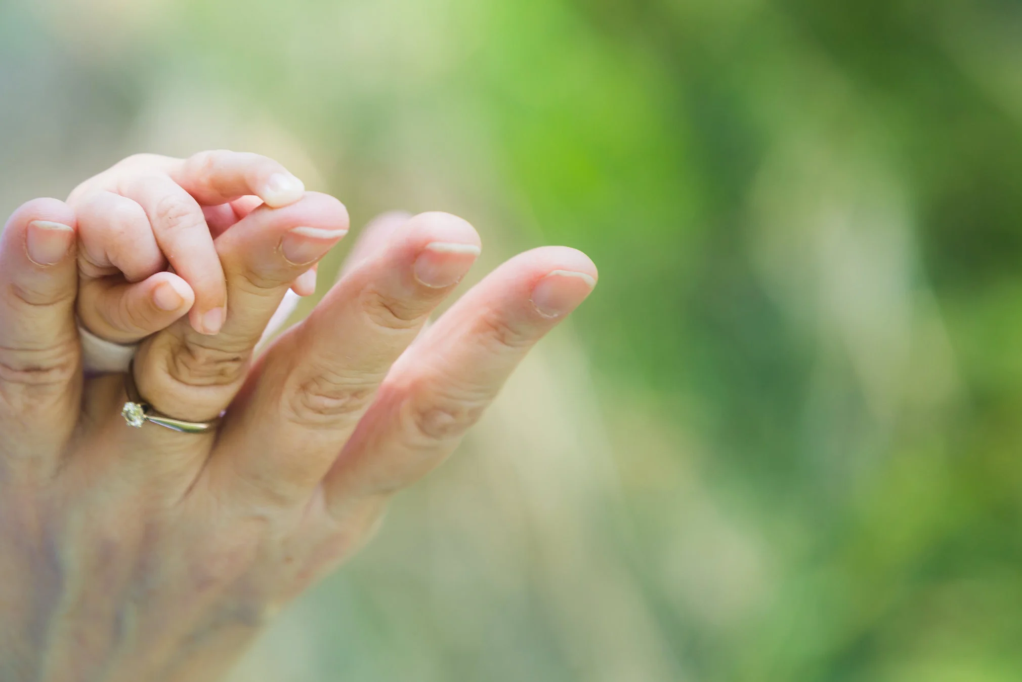 meganfamilypics-20 copy.jpg