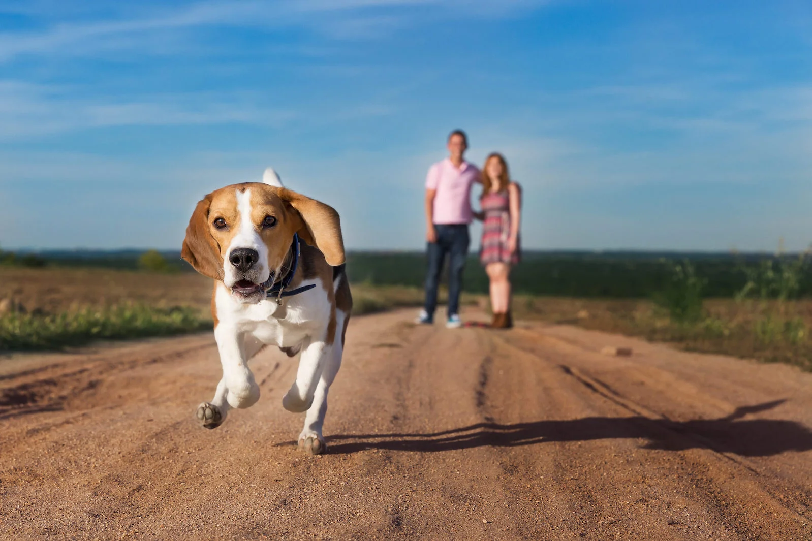MariayAlejandrolPreboda 1 copy.jpg