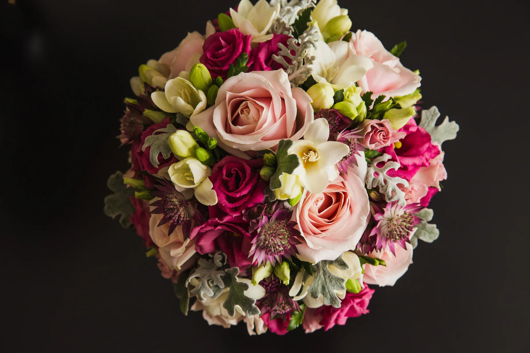 AnaCasa- 11 copy 2.jpg