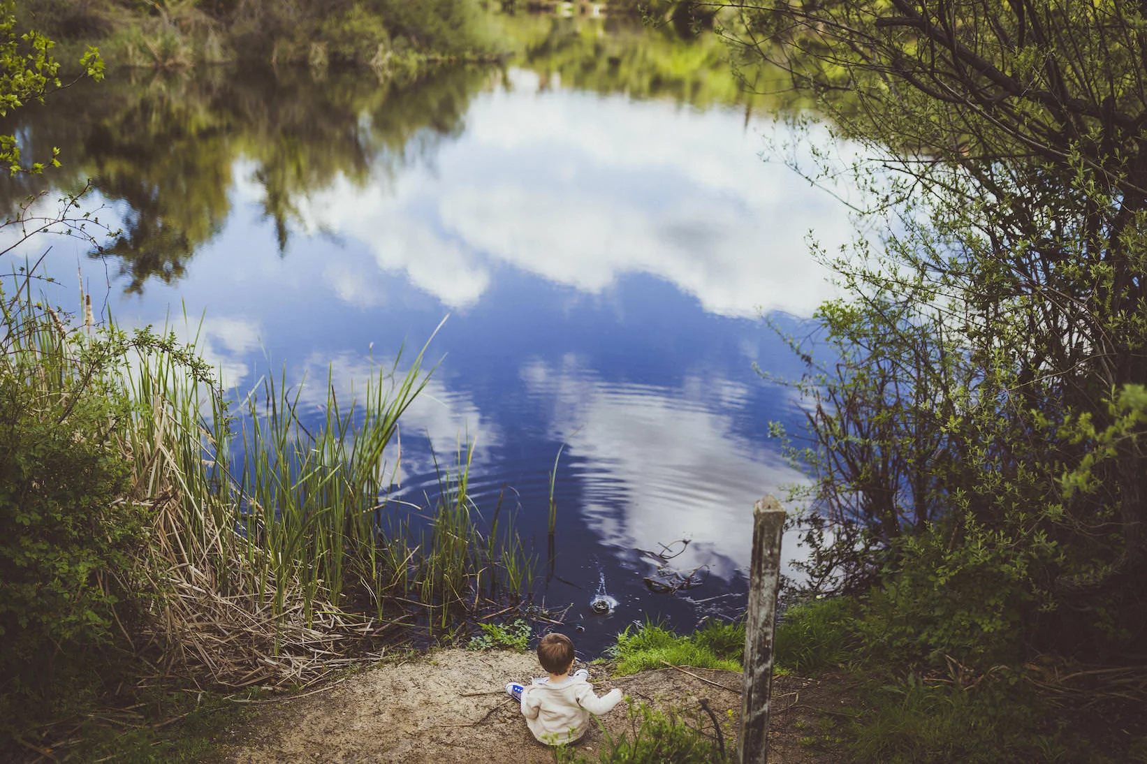 samembalsepenascales copy.jpg