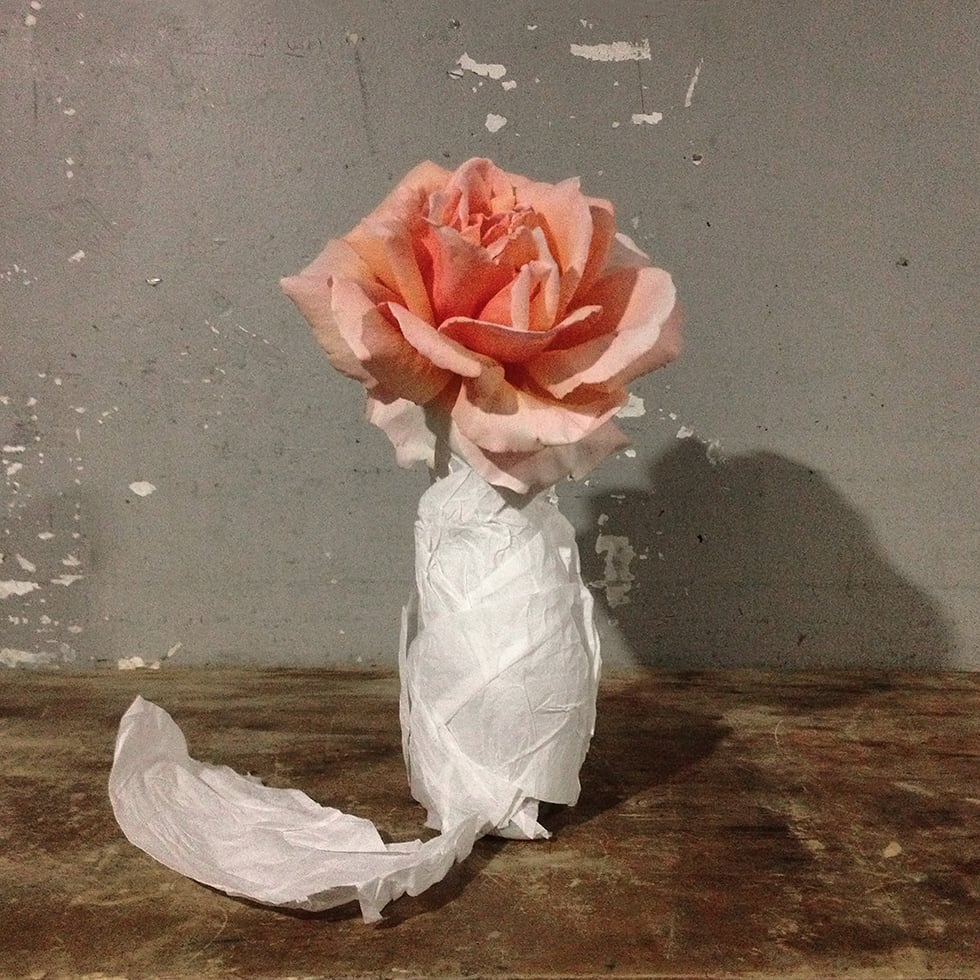 "Rose in a Bottle", 2013