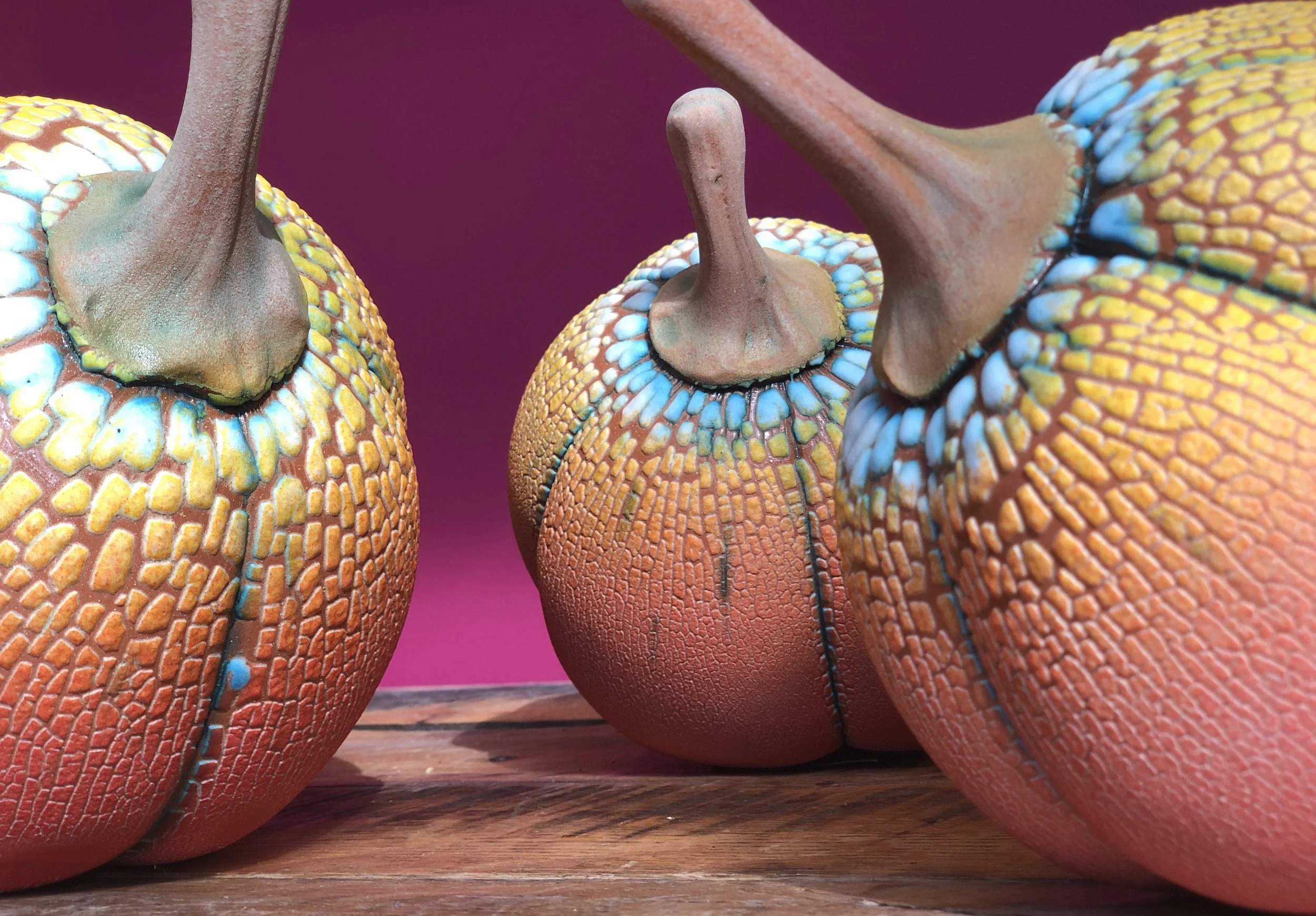 WmKiddceram.GourdsIMG_2532.JPG