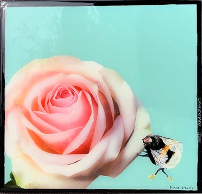 BeeAmazing72dpi.jpg