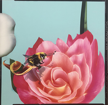 BeeBeautiful_72dpi.jpg