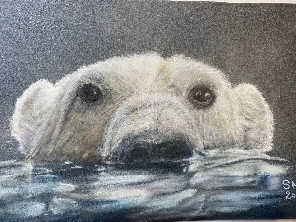 SATURDAY SIDEWALK SERIES: Animal Portraiture and Wildlife Renderings by Illustrator, Molly Green