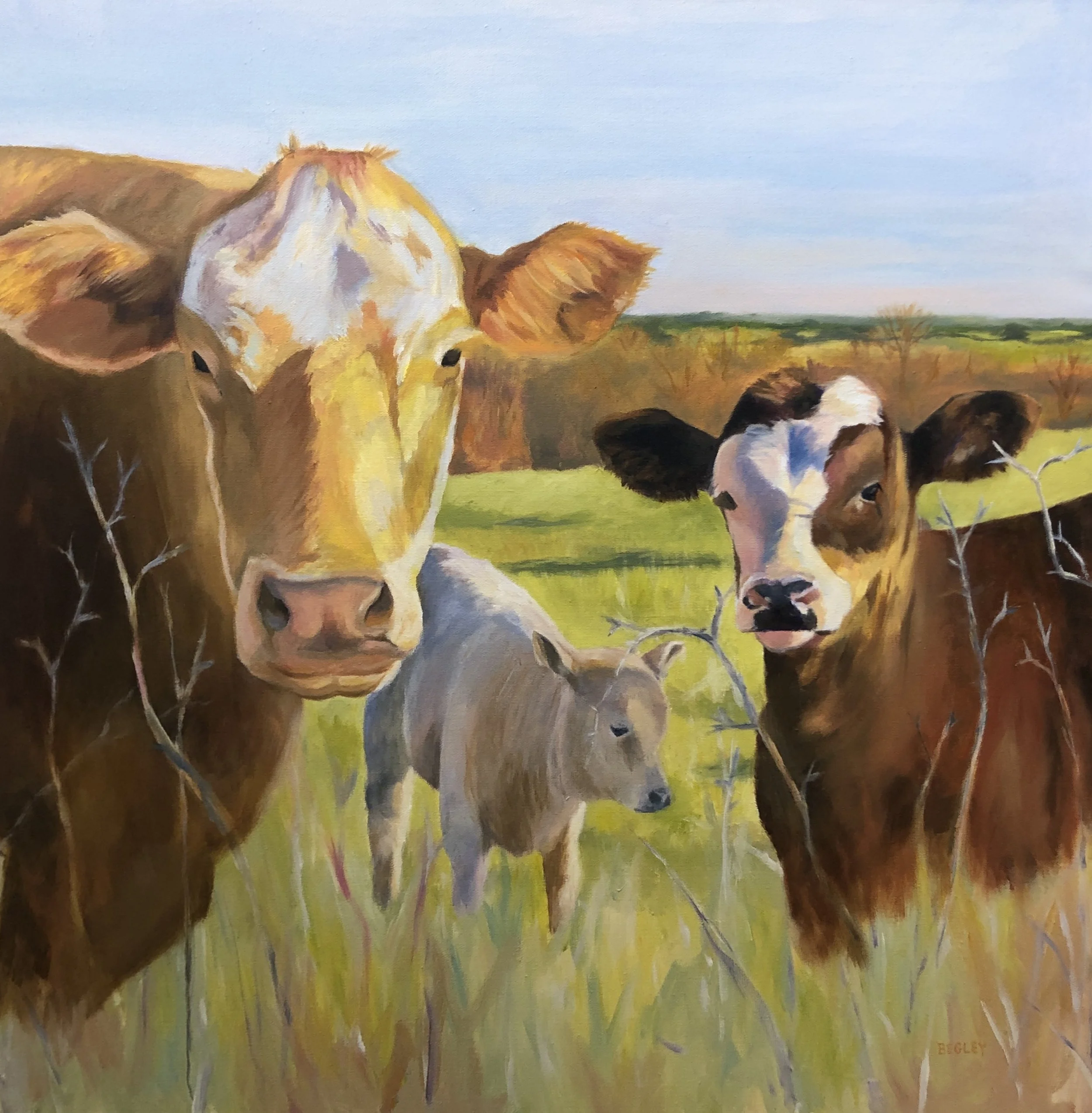 SOLD "Spring" 24"x24" original oil painting on canvas wrap.