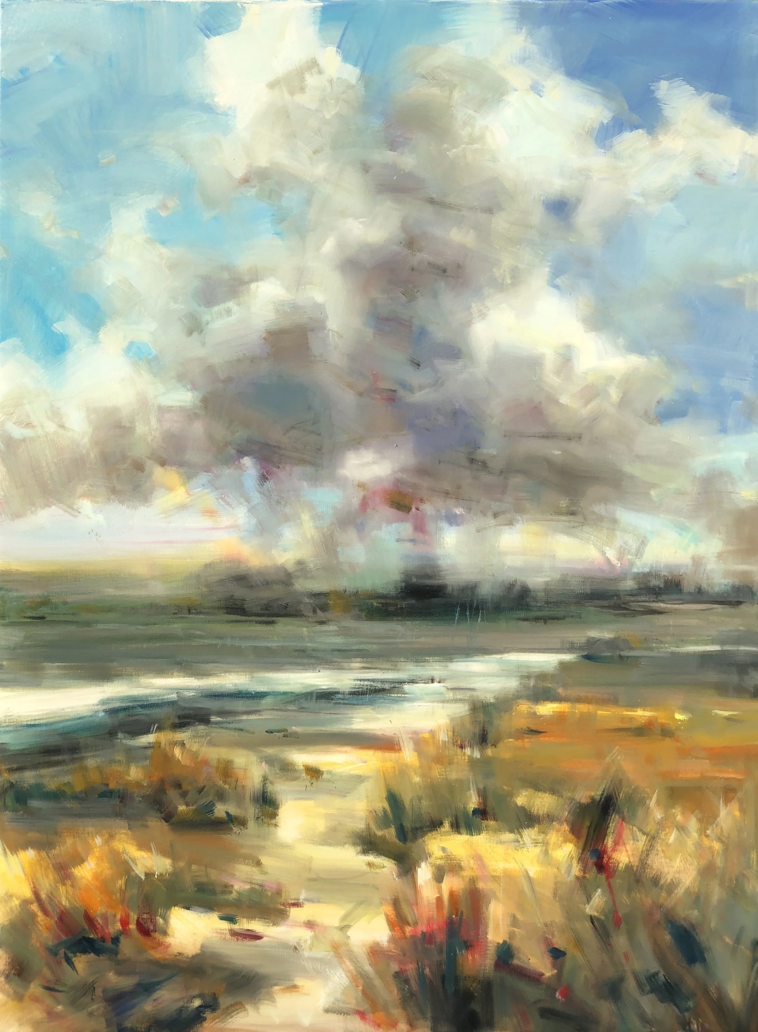 DsKimCloudsOverThePlains48x36IMG_3420.jpg