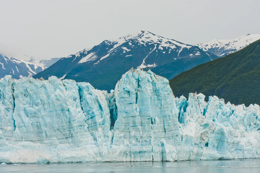 Nature from Alaska Photograph 44