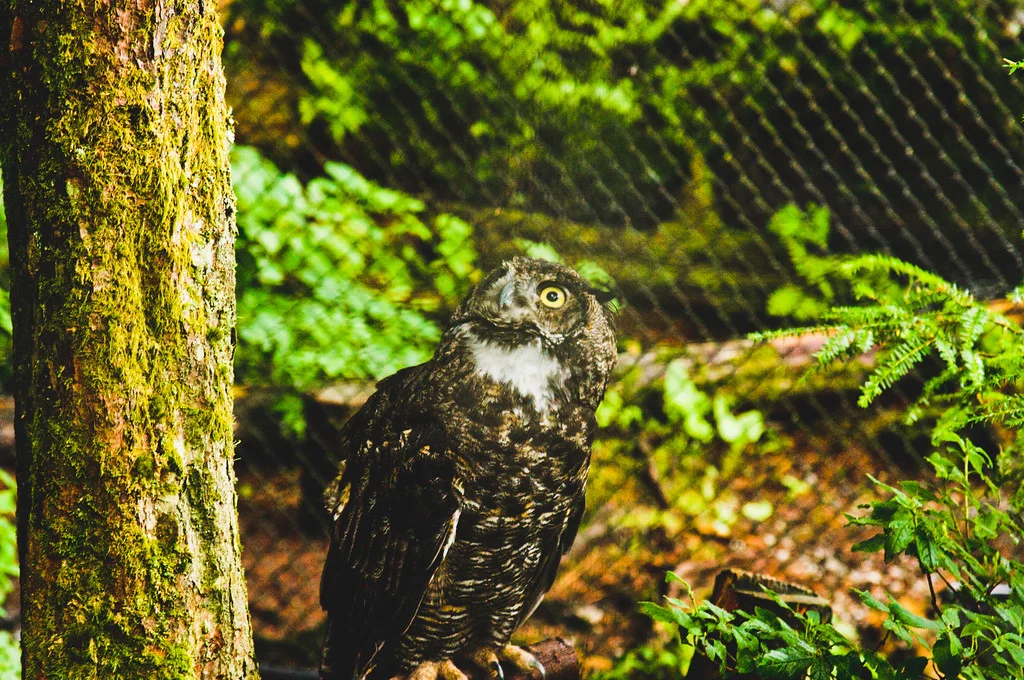 Nature from Alaska Photograph 47