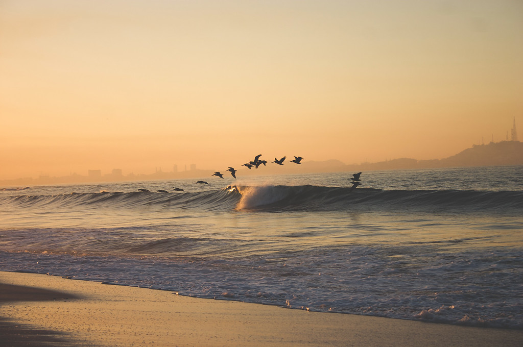 Nature from Mexico from 2005 and 2006 Photograph 21