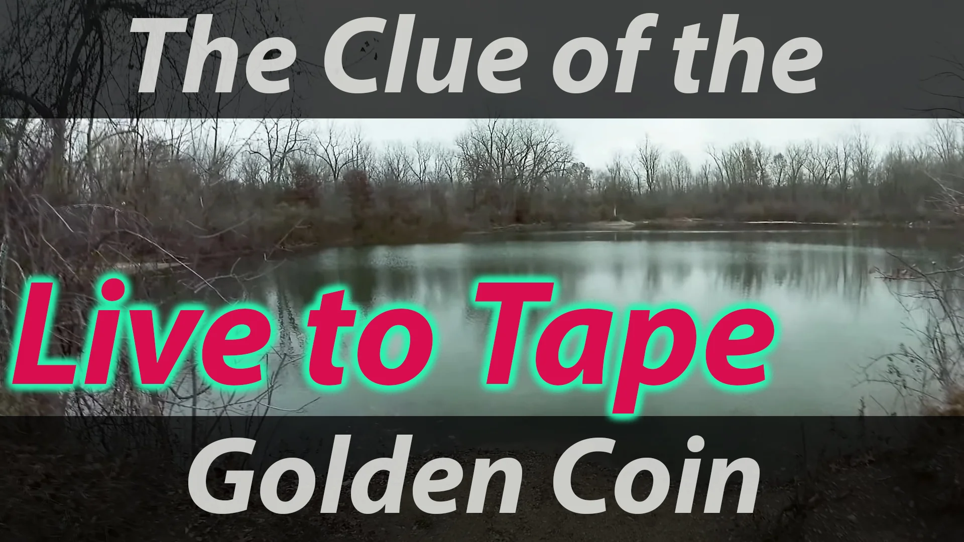Clue of the Golden Coin 013.jpg