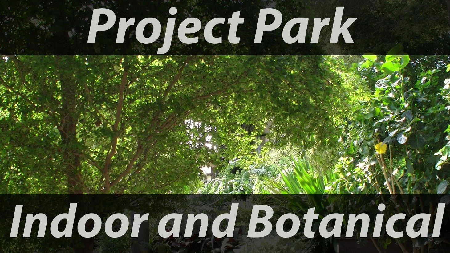Indoor and Botanical.jpg