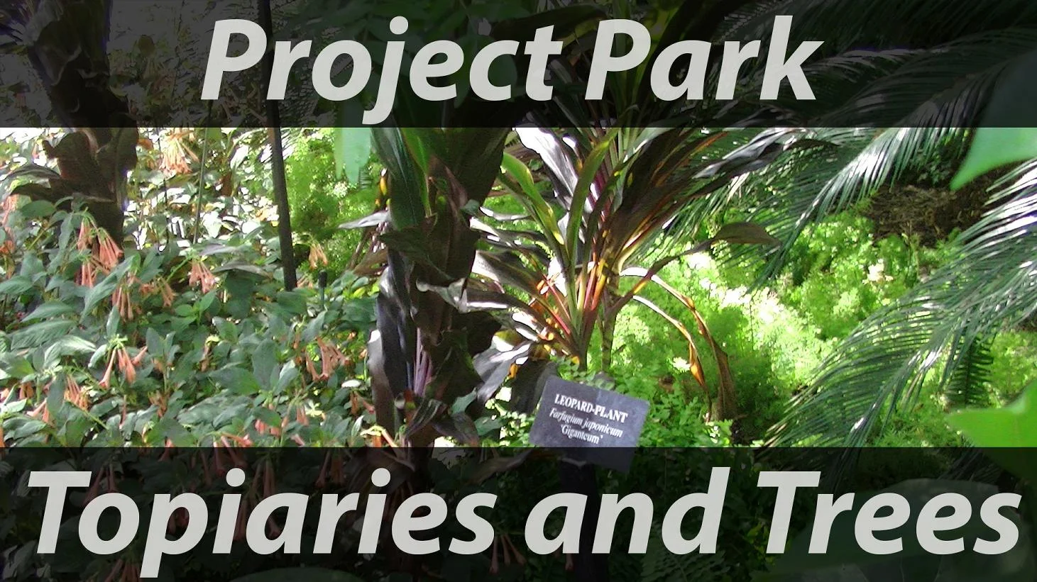Topiaries and Trees.jpg
