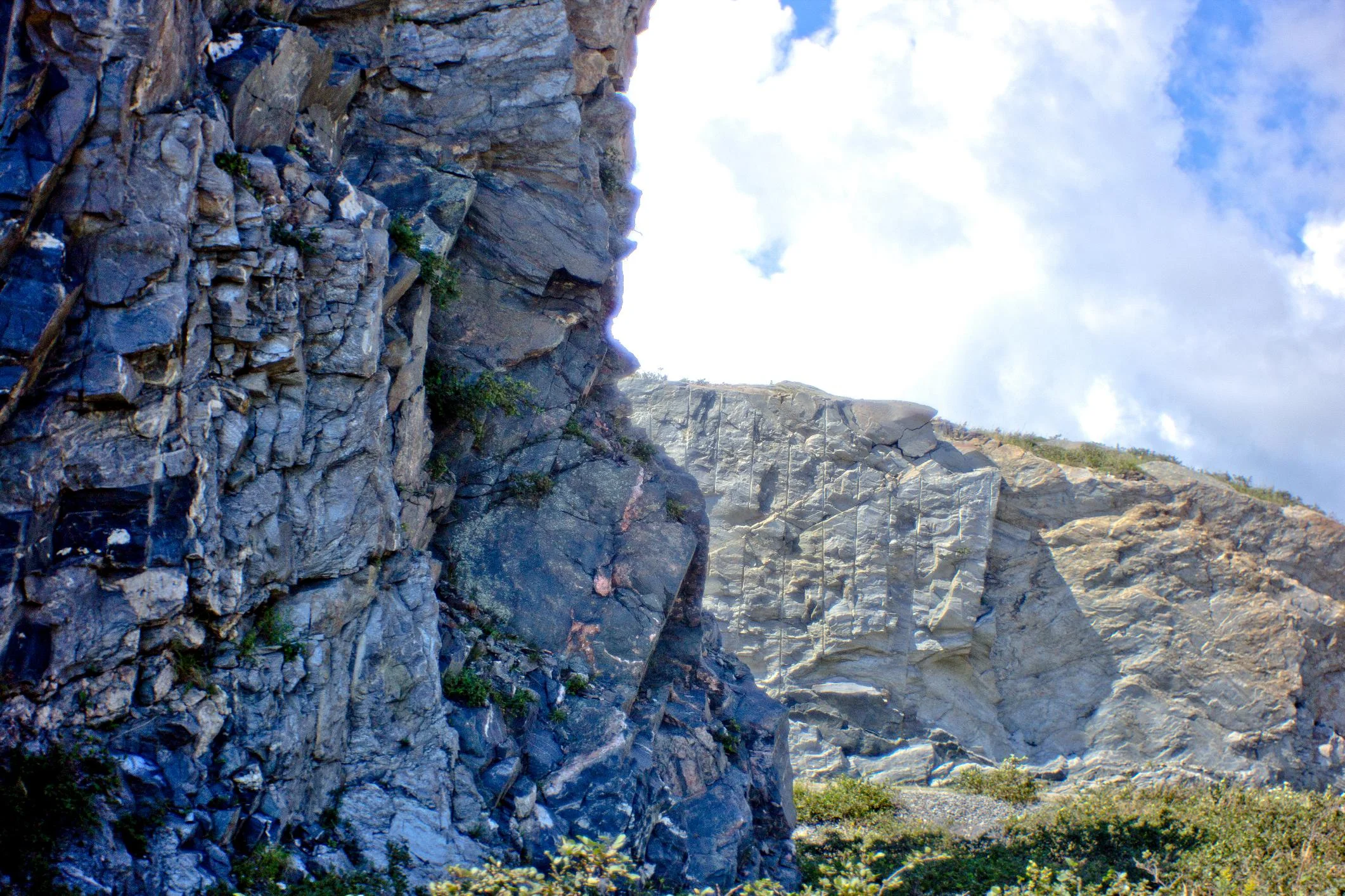 Photograph of Newfoundland 3