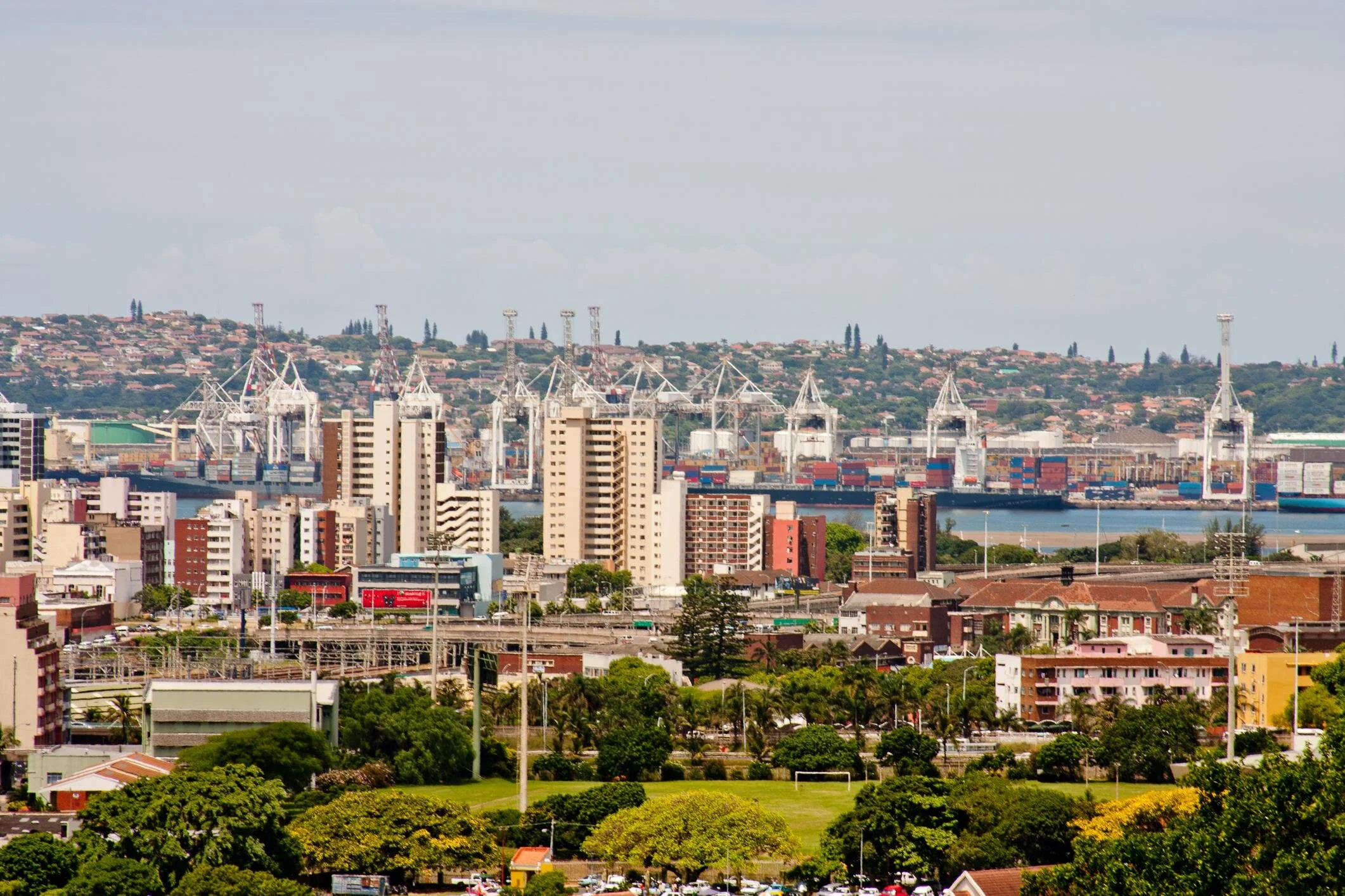 The Master of Art Collectors Edition Sample Photograph 171