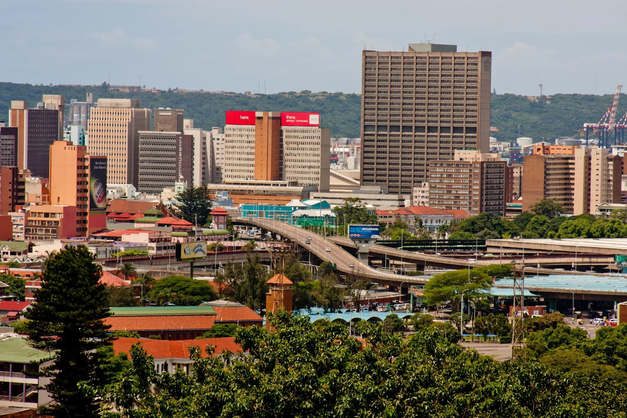 The Master of Art Collectors Edition Sample Photograph 172