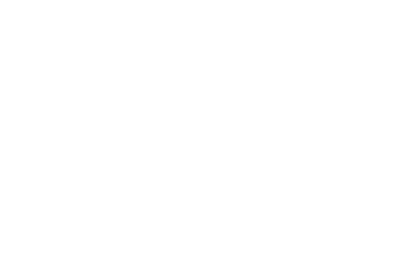 Little Heim Title White.png
