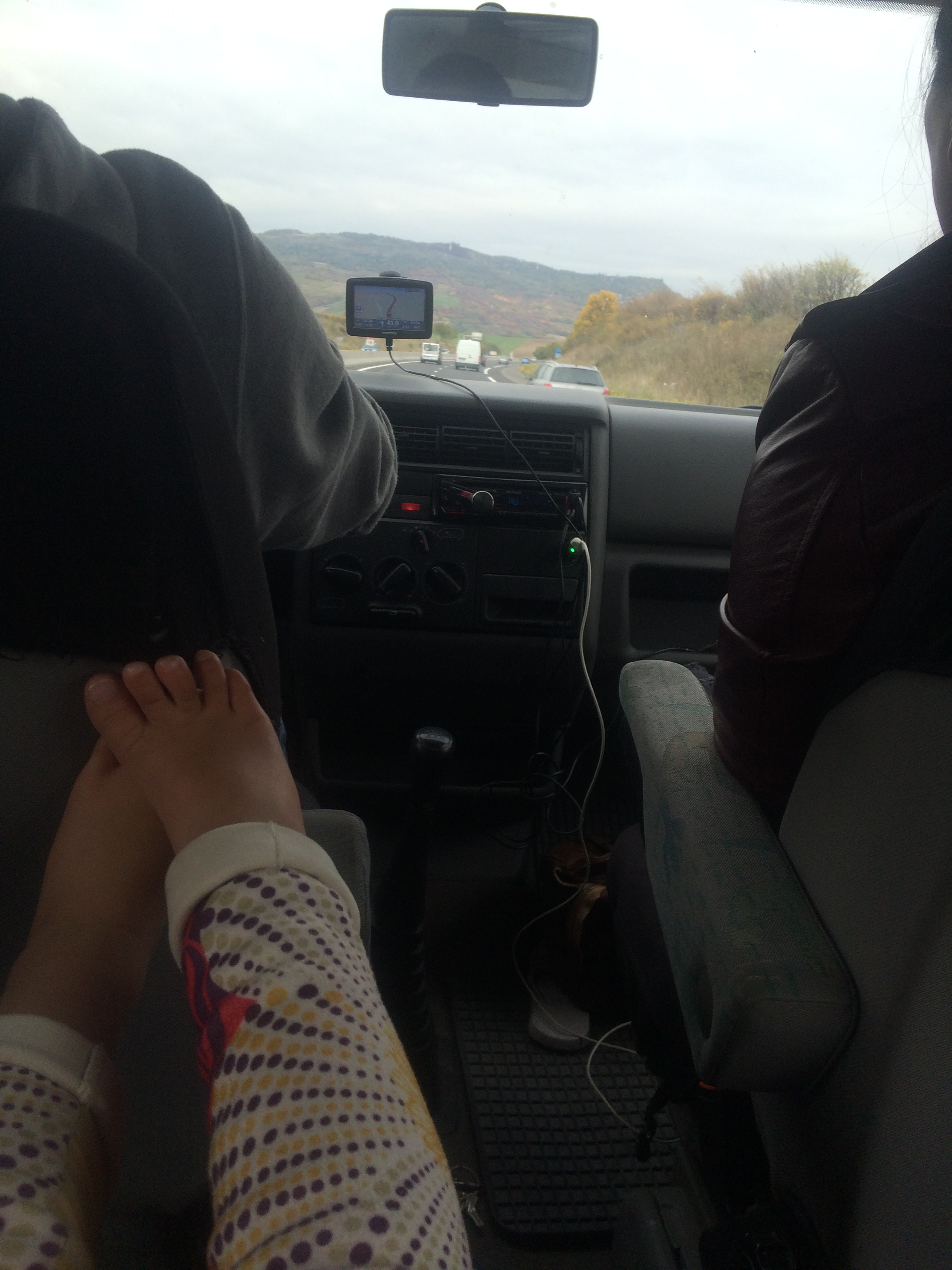 View from the backseat