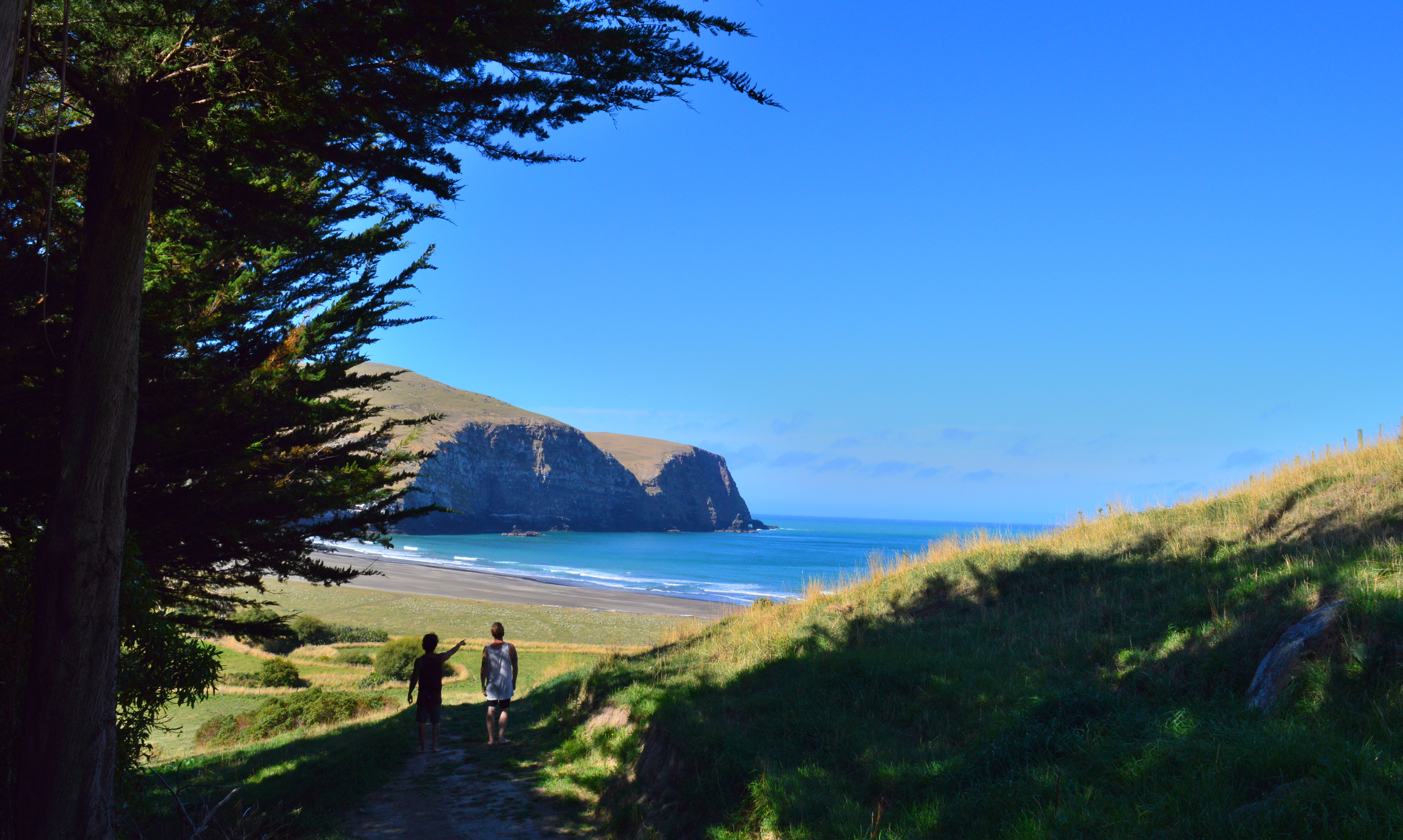 Banks Peninsula - Hickory bay Photo @bossemarcus