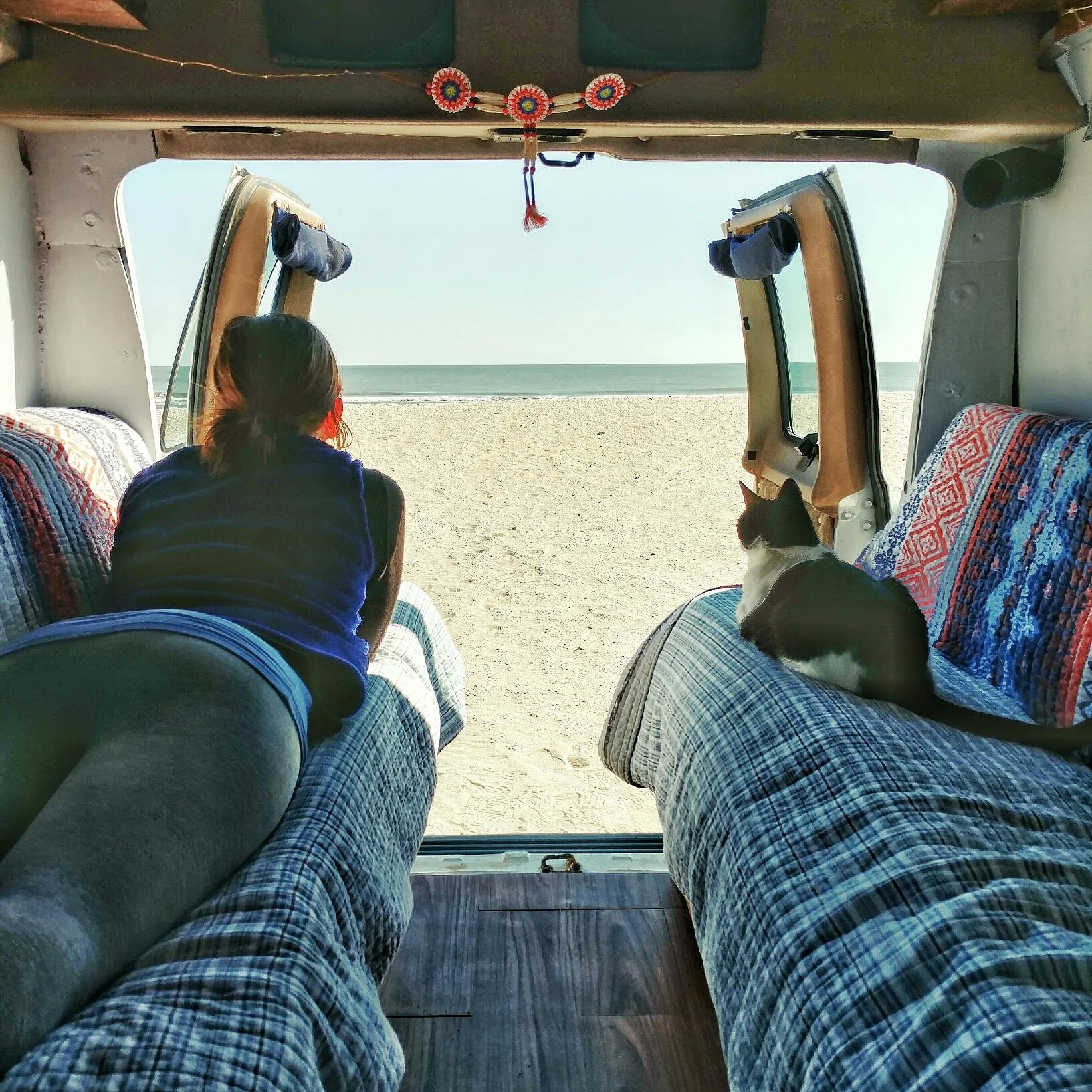 Guide to Vanlife with Cats