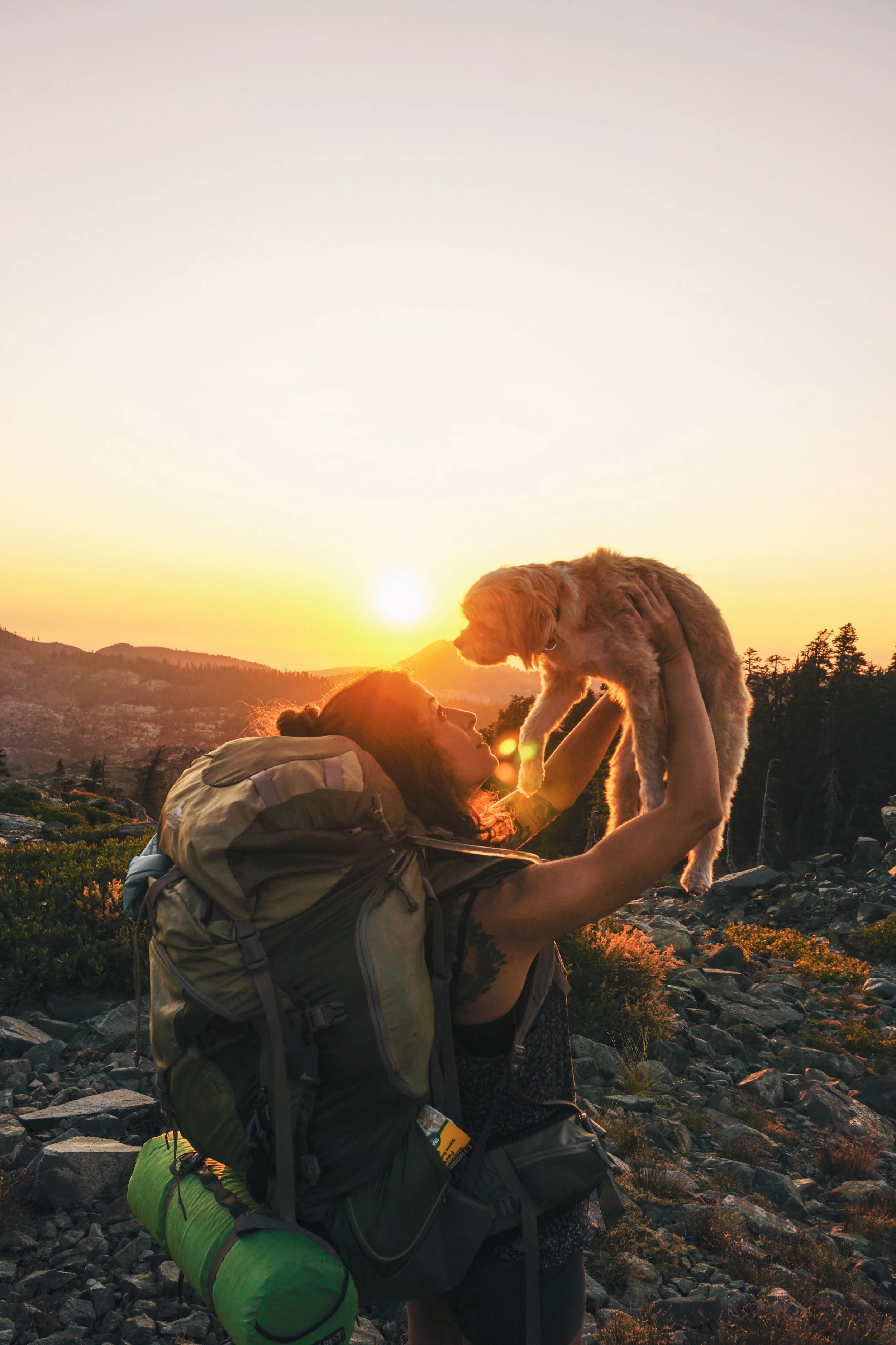 Tahoe Forest 1.jpg