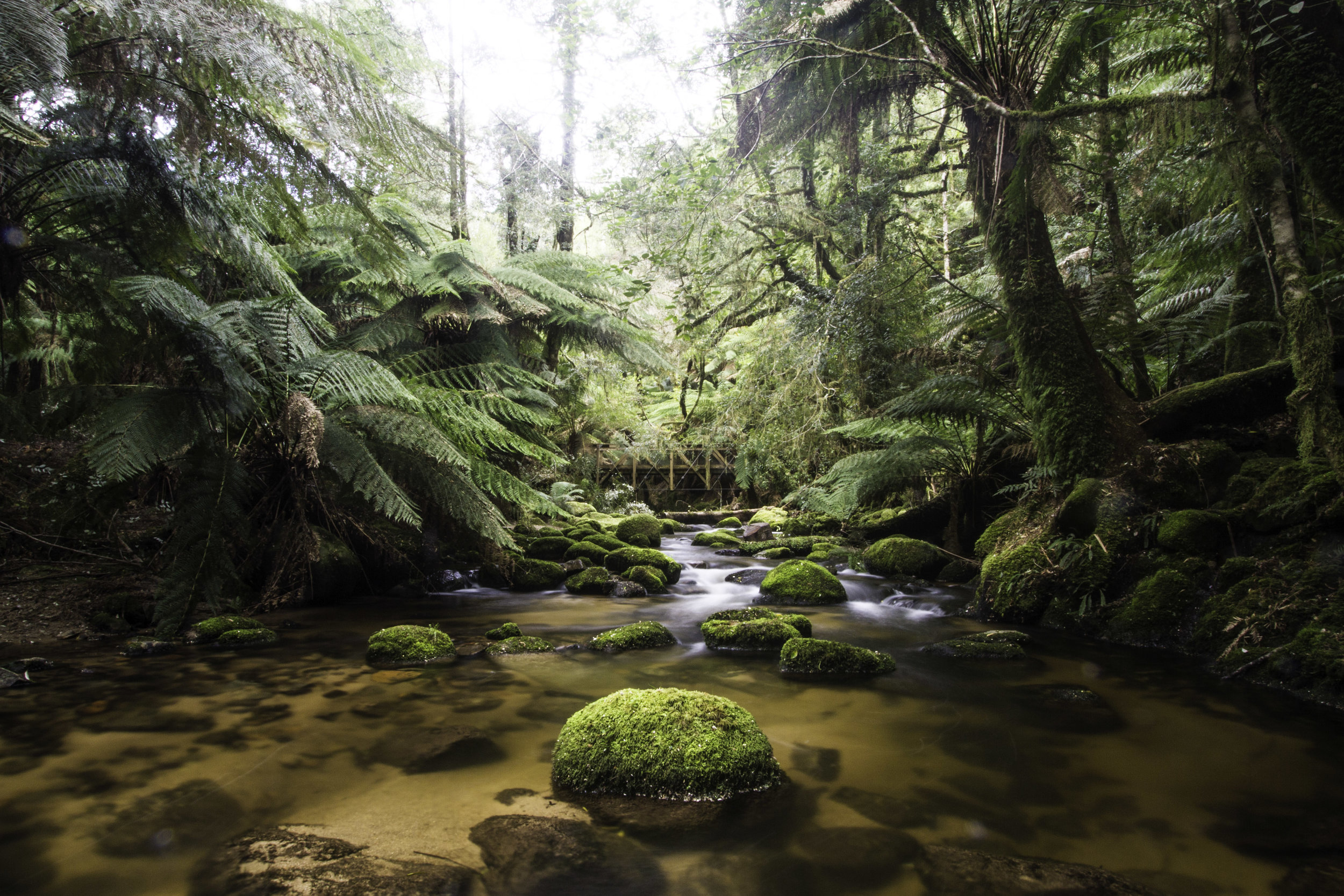 St Columba Falls, Tas