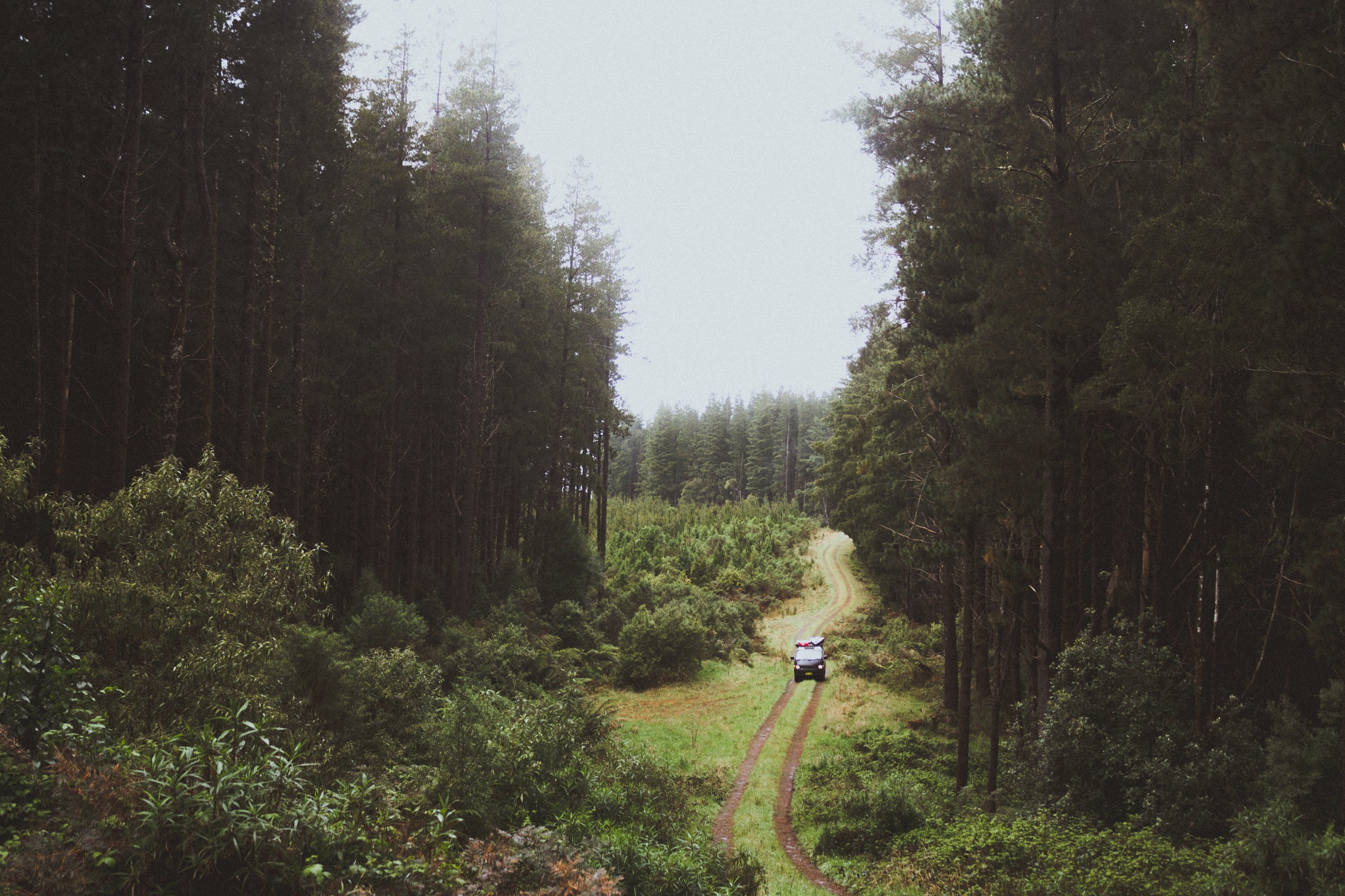 Sep 2017, Great Otway National Park