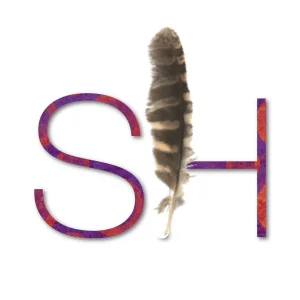 SeekHealing