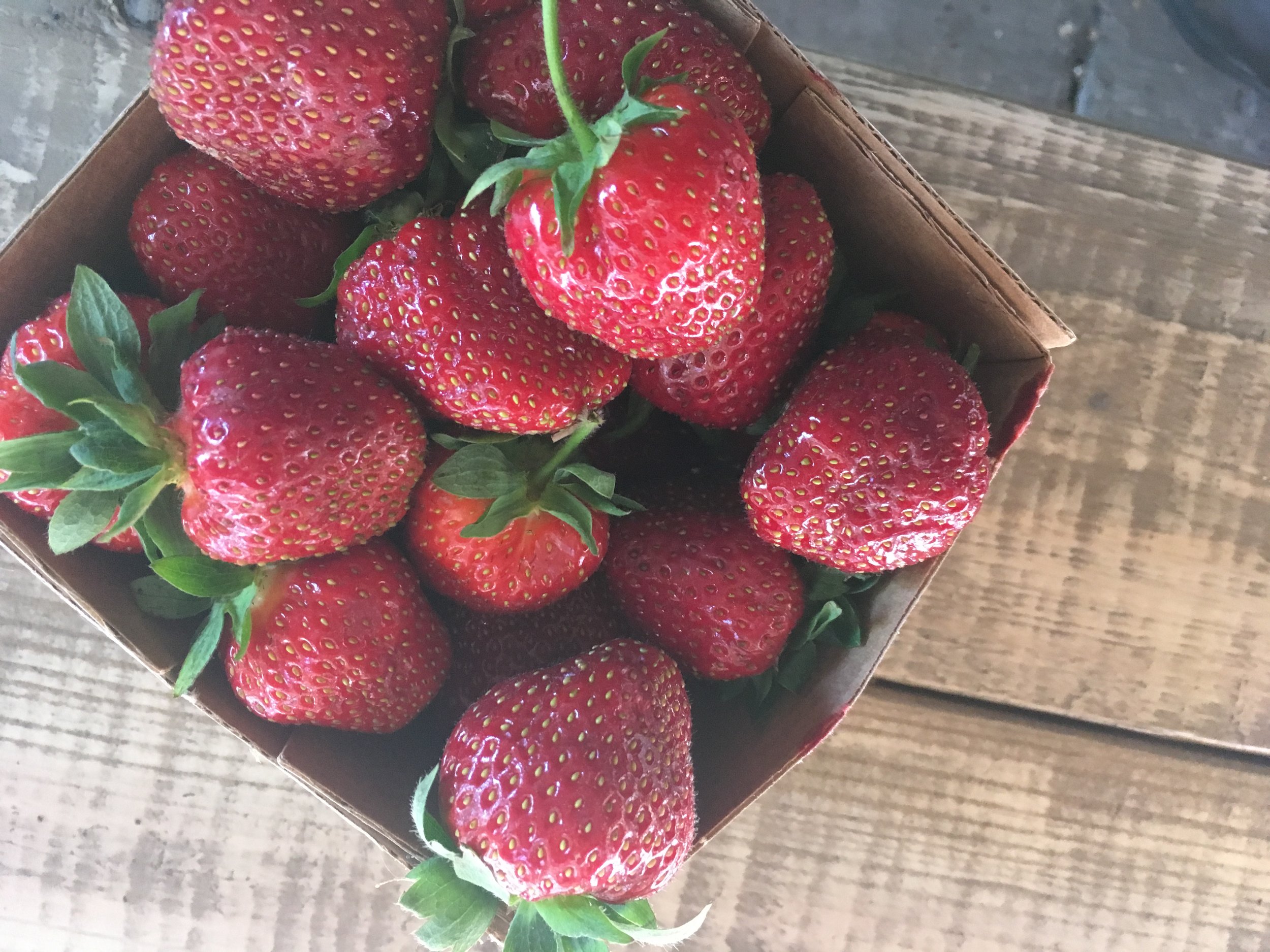 Roselle Fraisier is Officially Back ! 