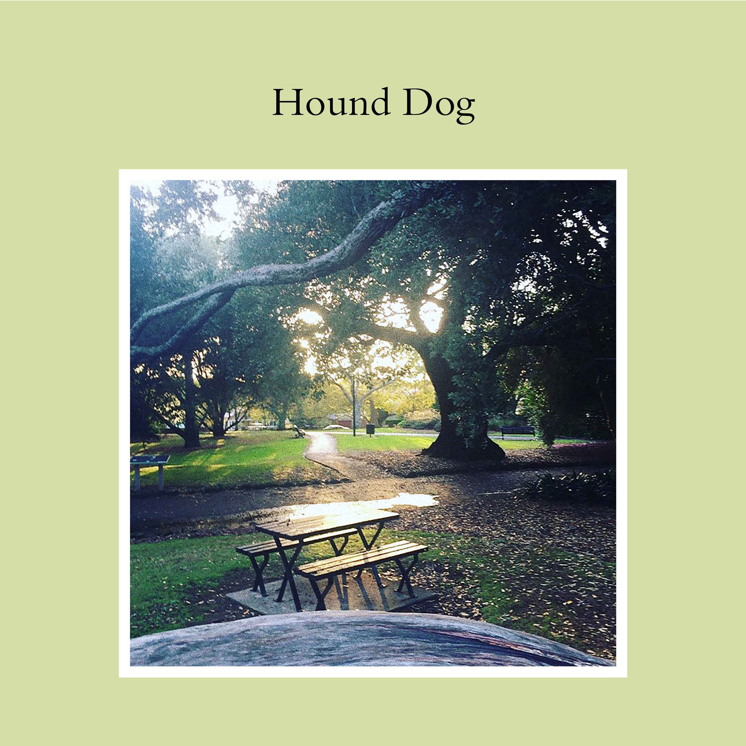 01-Hound-Dog.jpg