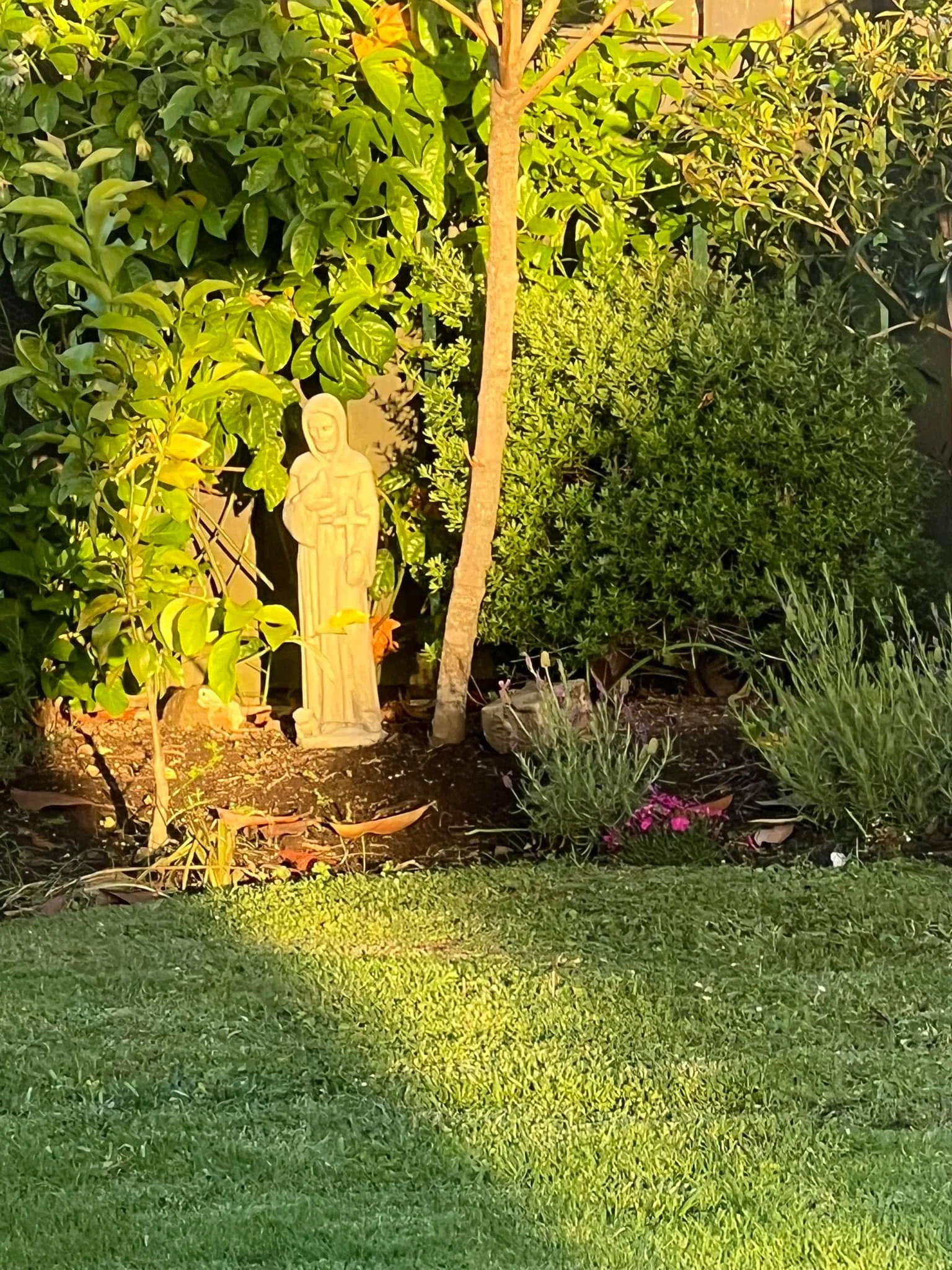 First morning with my new garden statue x 🥰🥰❤️💯🌹🌸🥀🌞☀️🐈🐕‍🦺🐇🐭🫎 thanks to Faraway Garden x