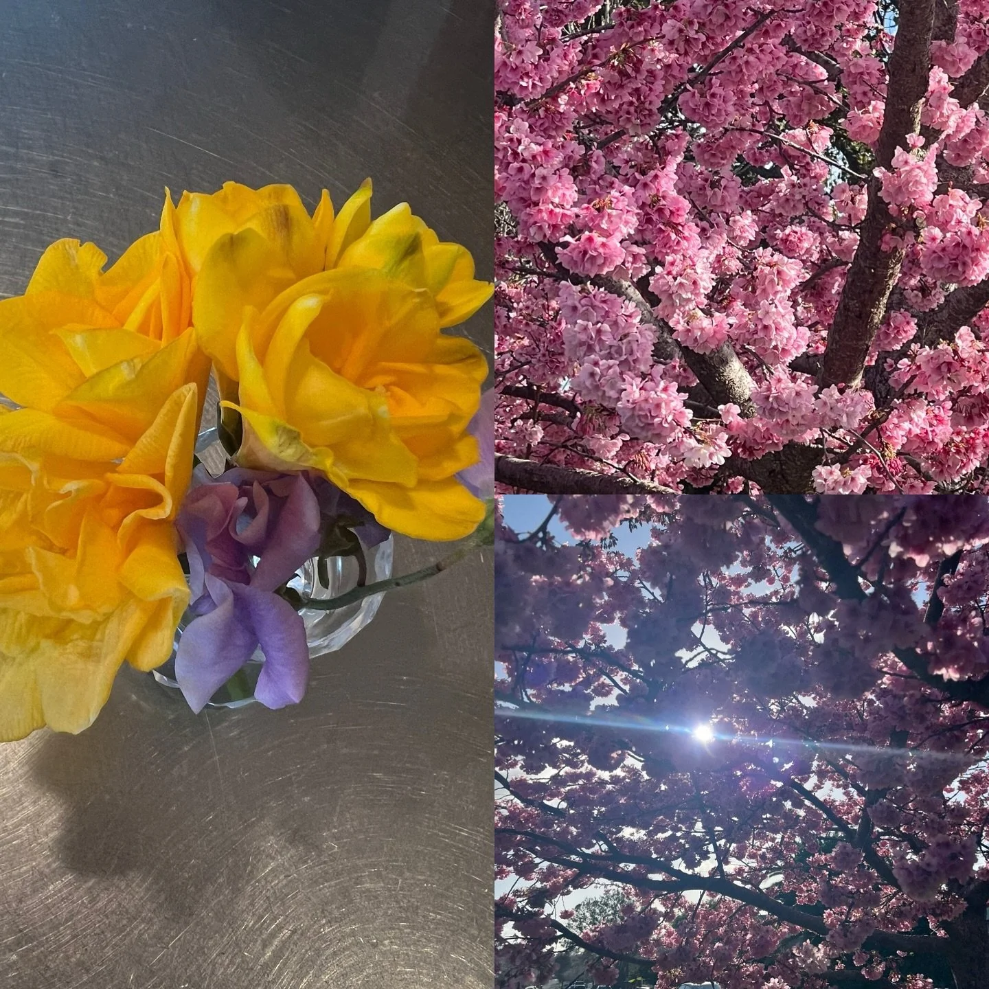 ✨🌱🌸☀️ Is there any better fragrance than the thought of spring? 🐝🌸☀️🌱✨