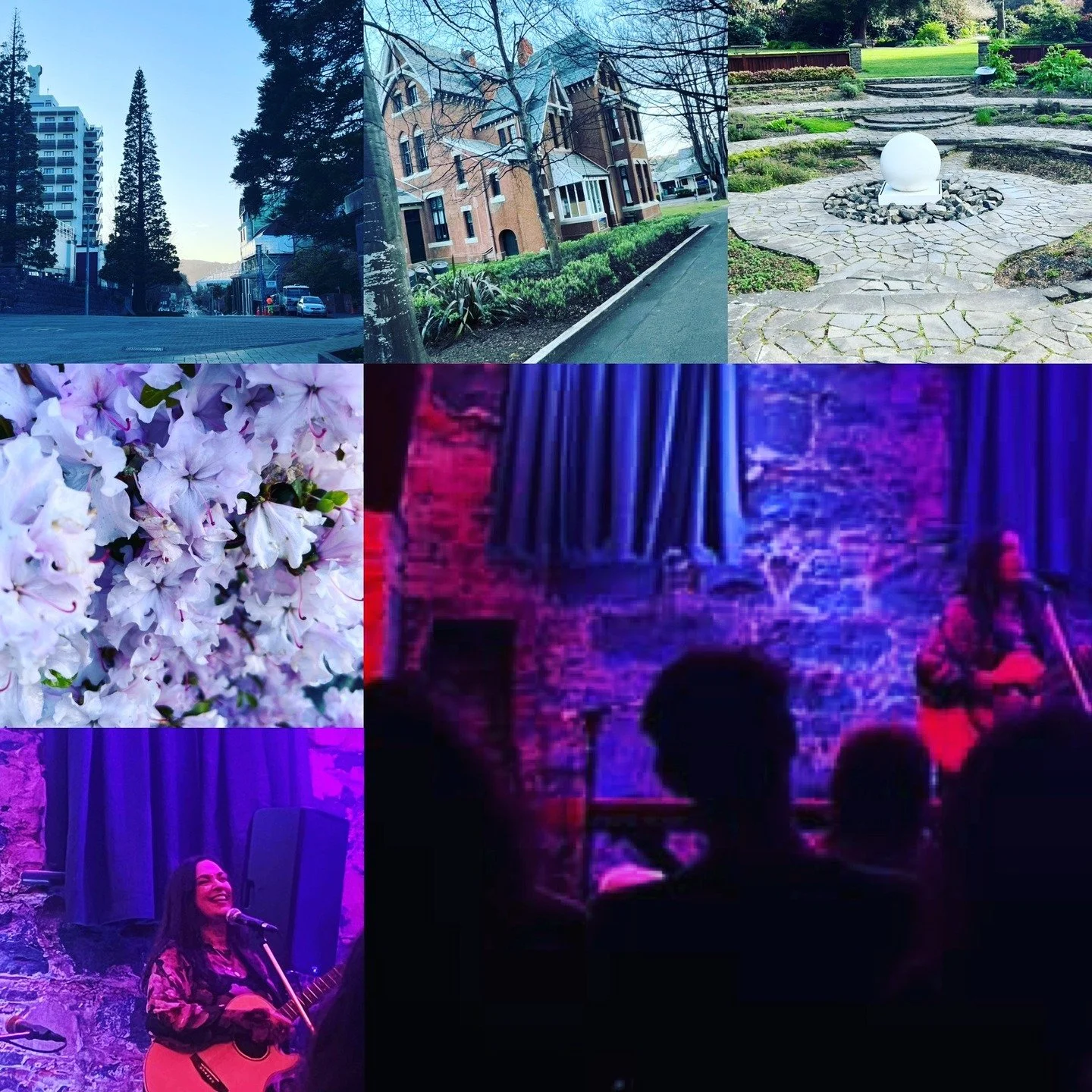 ✨ Just checking in after a little social break.

The Dunedin show happened and I really enjoyed it (especially seeing everyone&hellip; I love it there 💕).

That said, there was a bit of a communication mix-up with the rental company, so I ended up w