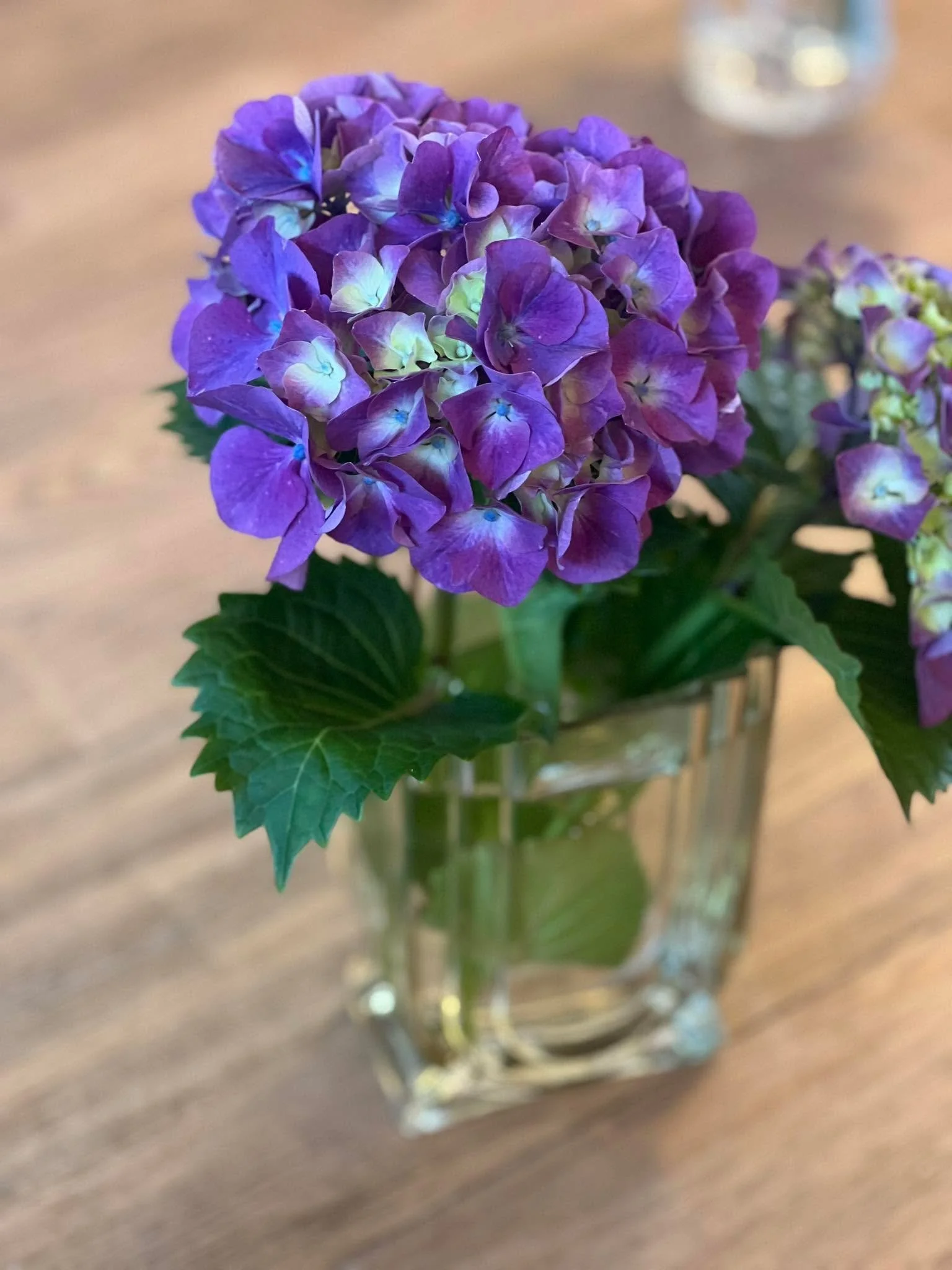 I think The Universe is looking after me. 🪐A glass shower door fell on me this morning when I was cleaning the bathroom. It just rolled over the top of my and ￼landed safely on the ground unbroken.  I am glad there was no decap&hellip; eee&hellip; t