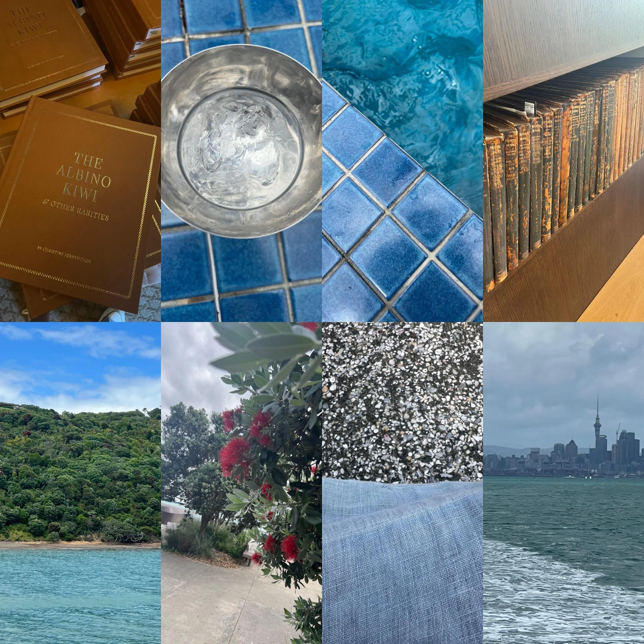 🙏🏼 Sometimes I&rsquo;m honestly overwhelmed by the amazing adventures that come my way.
Thank you to everyone who invites me into their world and lets me share in such incredible experiences. ❤️✨
Feeling grateful, inspired, and very festive. 🎄🎁🌟