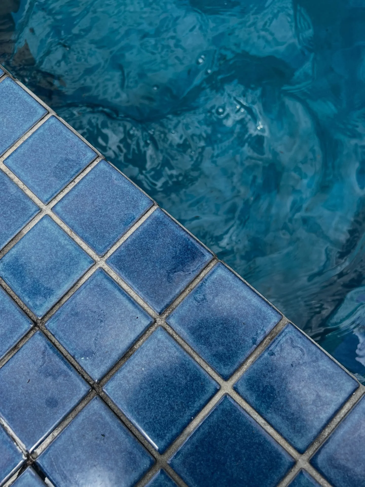 🙏🏼 Sometimes I&rsquo;m honestly overwhelmed by the amazing adventures that come my way.
Thank you to everyone who invites me into their world and lets me share in such incredible experiences. ❤️✨
Feeling grateful, inspired, and very festive. 🎄🎁🌟