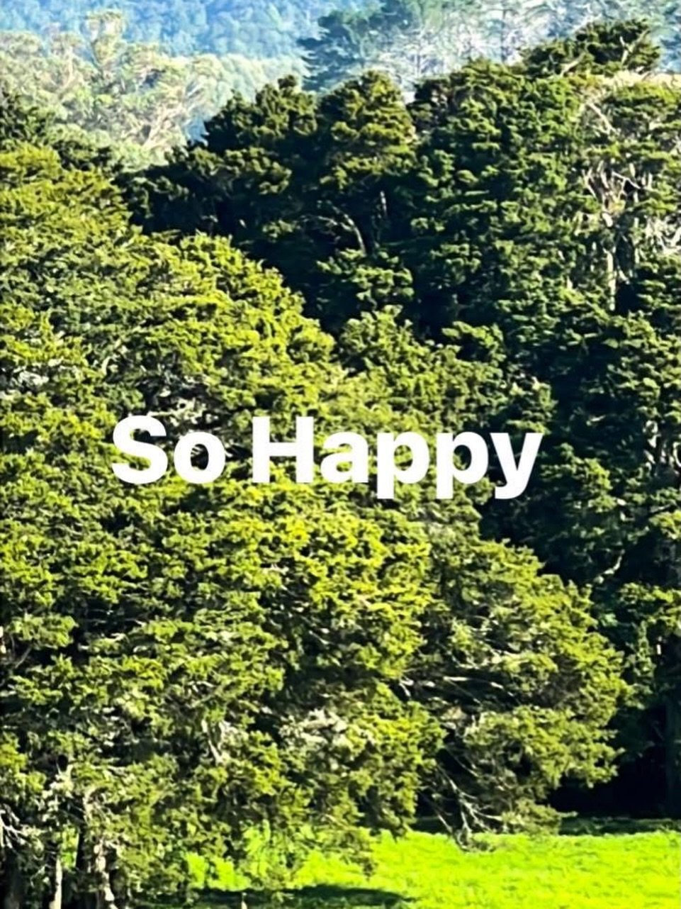 The work is done, so it&rsquo;s time for creative pursuits. 🎶👀🧚🏼&zwj;♀️🔥🐎✍️⏰❤️