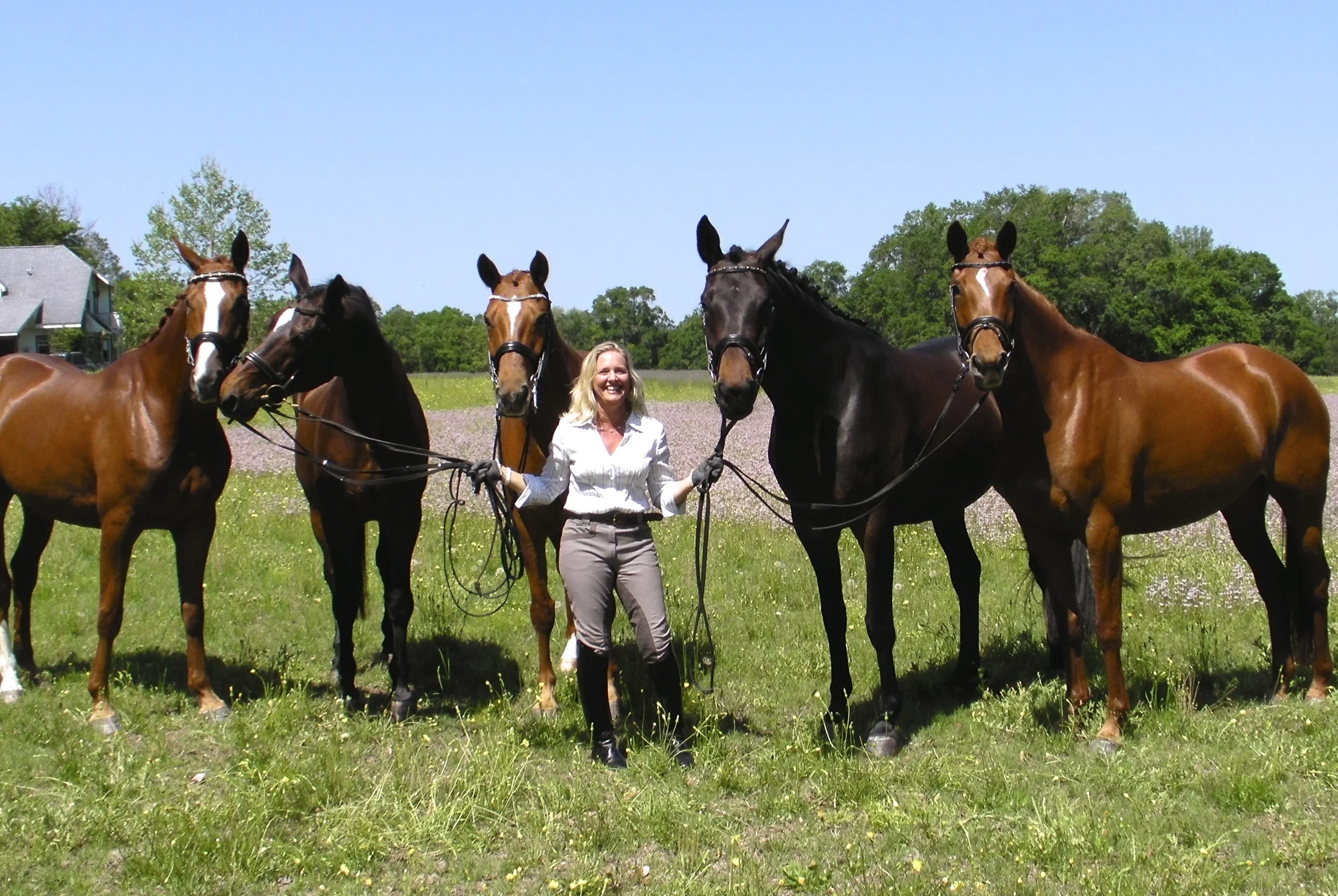 SANY0015 - Version 2.JPG