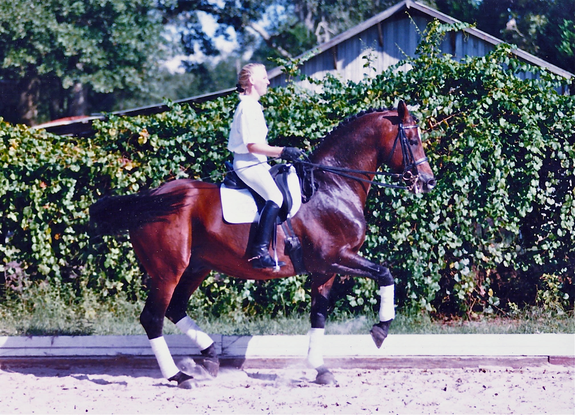 SCAN0027.JPG