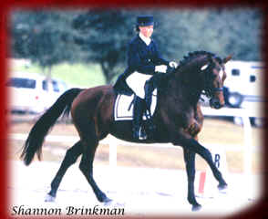 donny canter.jpg