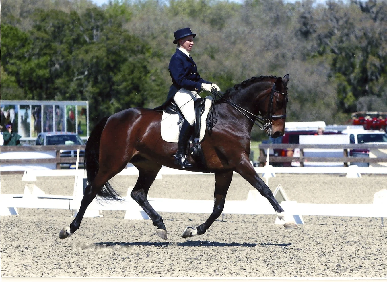 Bella Luna showing Grand Prix