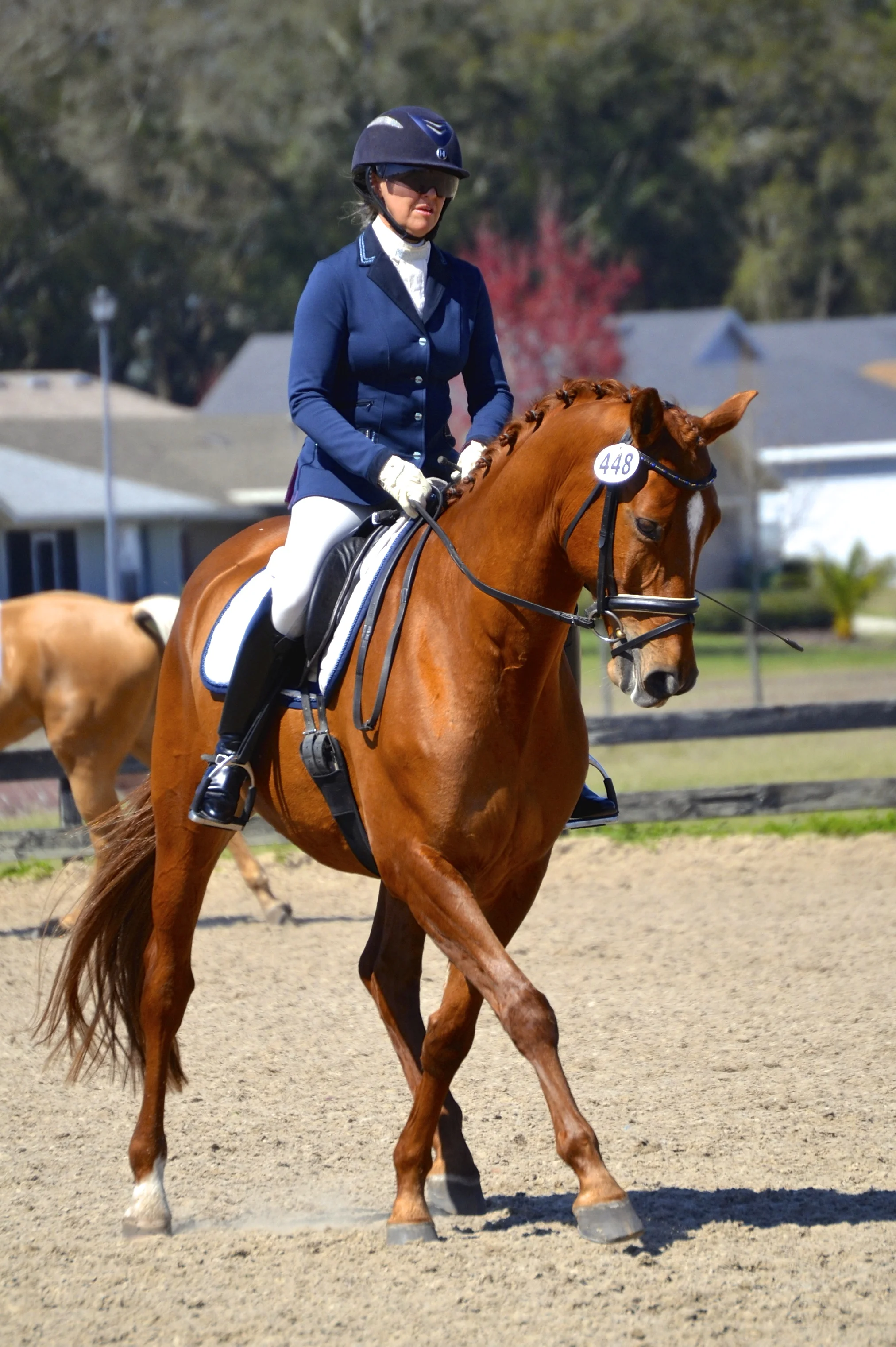 Erin with Herzenfurst