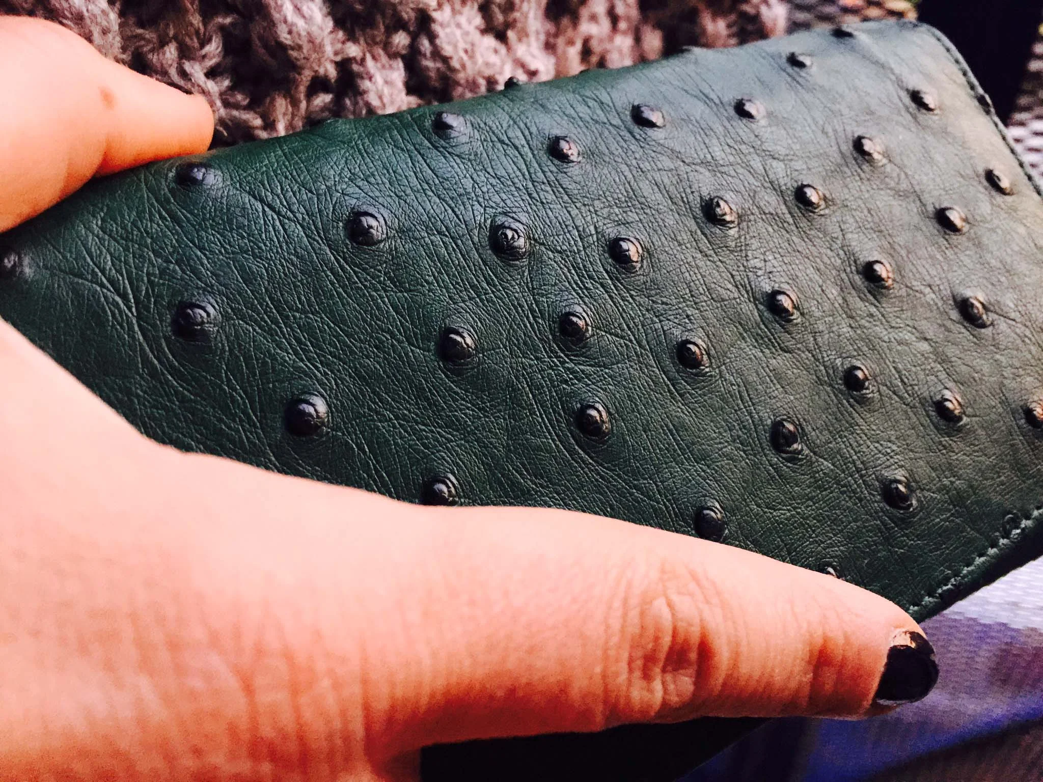 Ostrich Matinee Trifold Purse by Pickett London