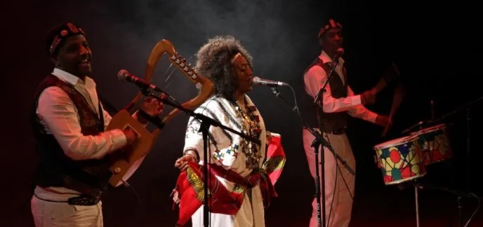 Live African Music: The Best From Africa