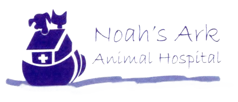 Noah's Ark Animal Hospital — welcome