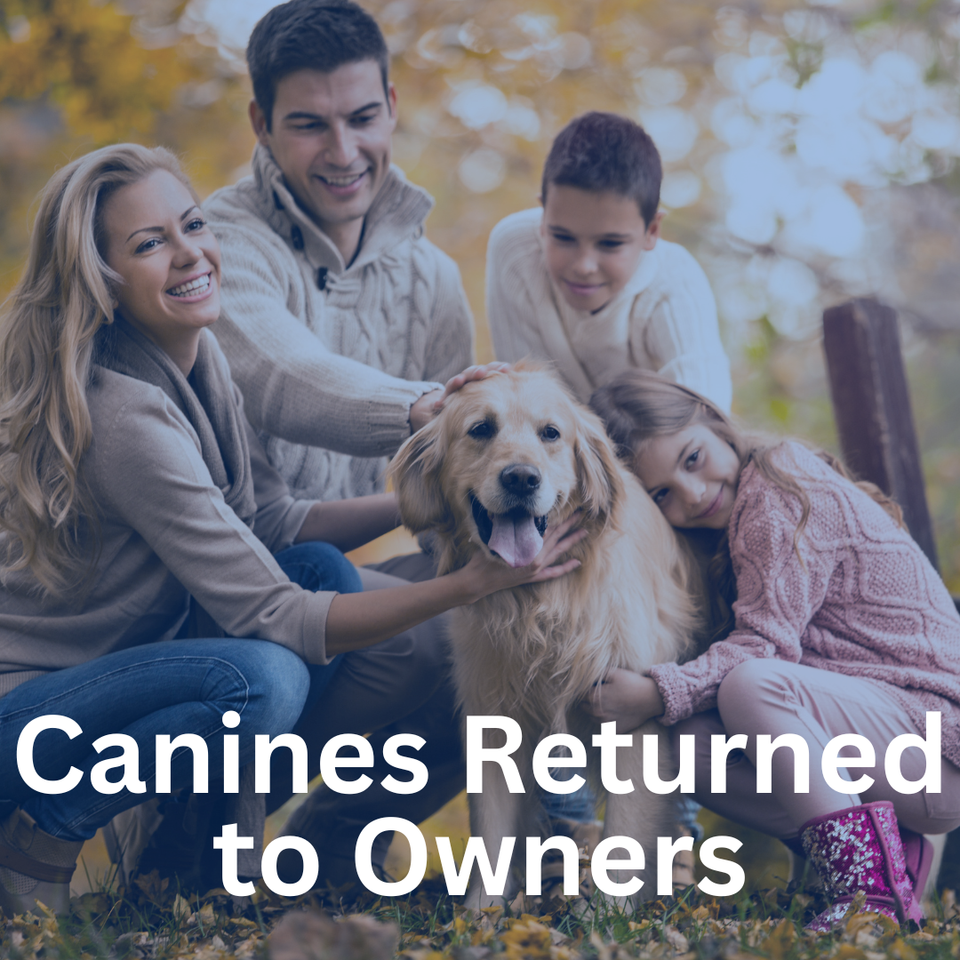 27 CANINES RETURNED TO OWNERS
