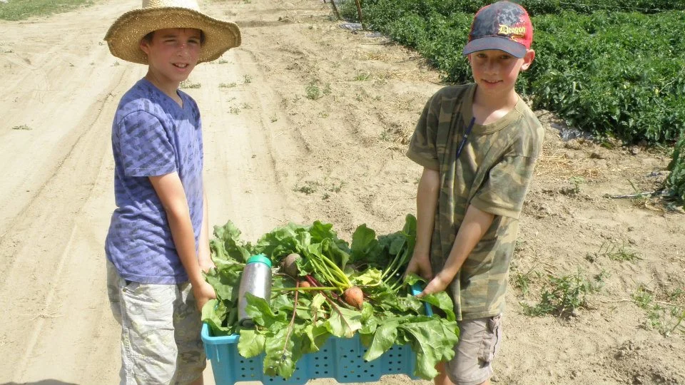 about_us-kids+class+summer2-.jpg
