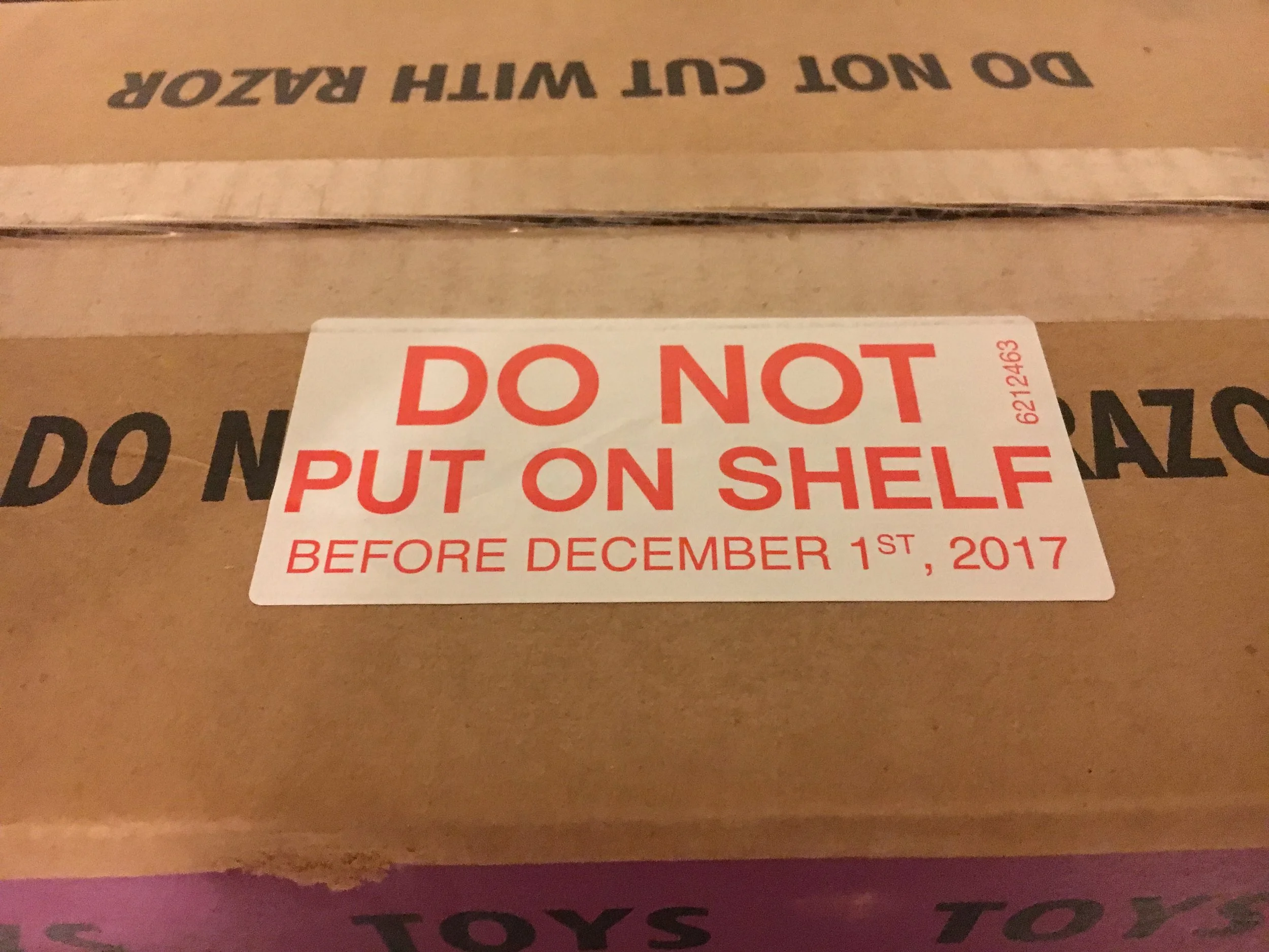 It Has Arrived! - #10256 - Taj Mahal