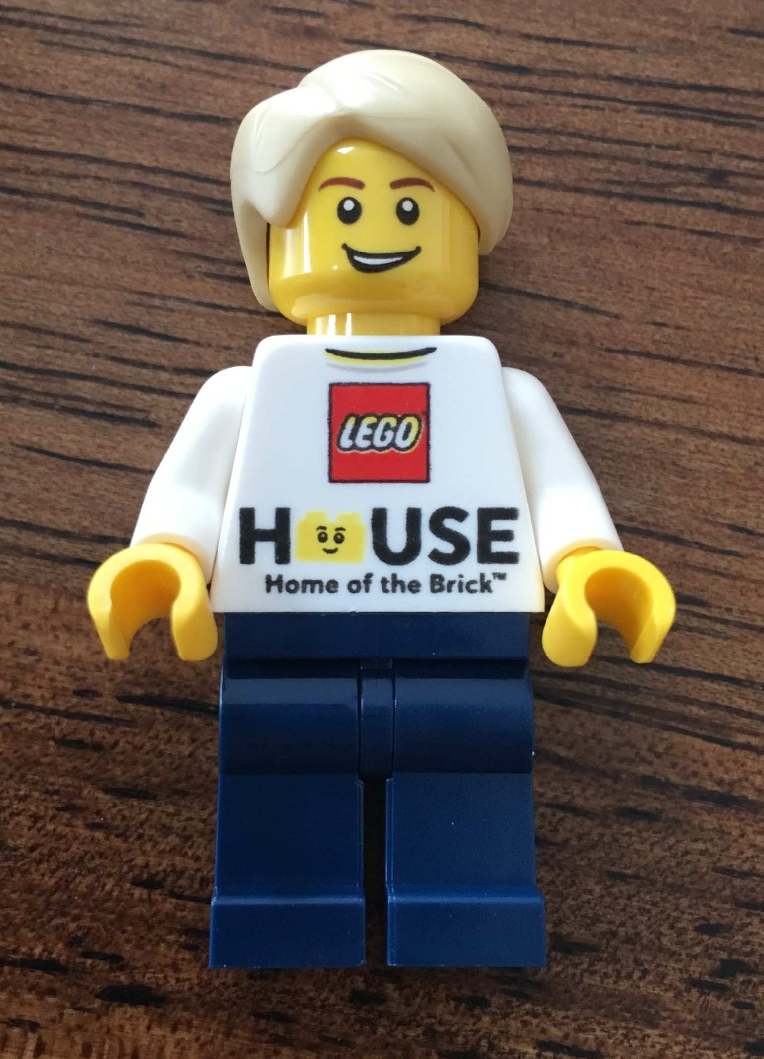 forsøg flare kaos Set Review - #4000026-1: LEGO House Tree of Creativity — Bricks for Bricks