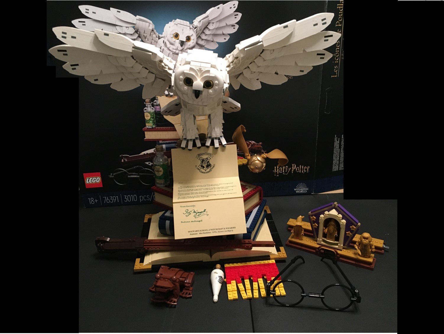 LEGO Harry Potter Hogwarts Icons - Collectors' Edition 76391 20th  Anniversary Collectable Hedwig Owl Model, with 3 Exclusive Golden  Minifigures: Dumbledore, McGonagall and Hagrid; Great Gift Idea : Toys &  Games 
